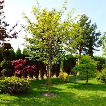 Wielkopolanka Hotel Schroda