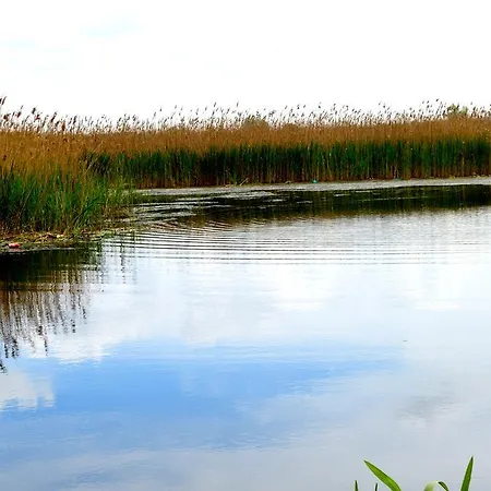 Wielkopolanka 2*