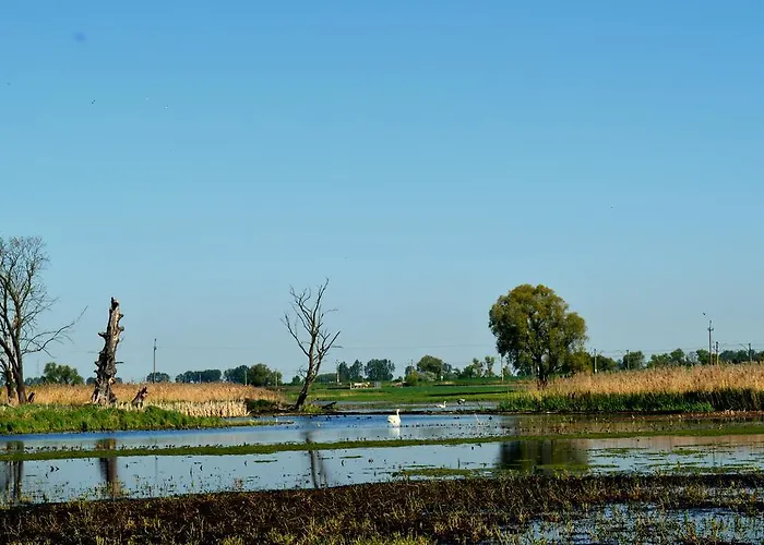 Wielkopolanka 2* Sroda Wielkopolska